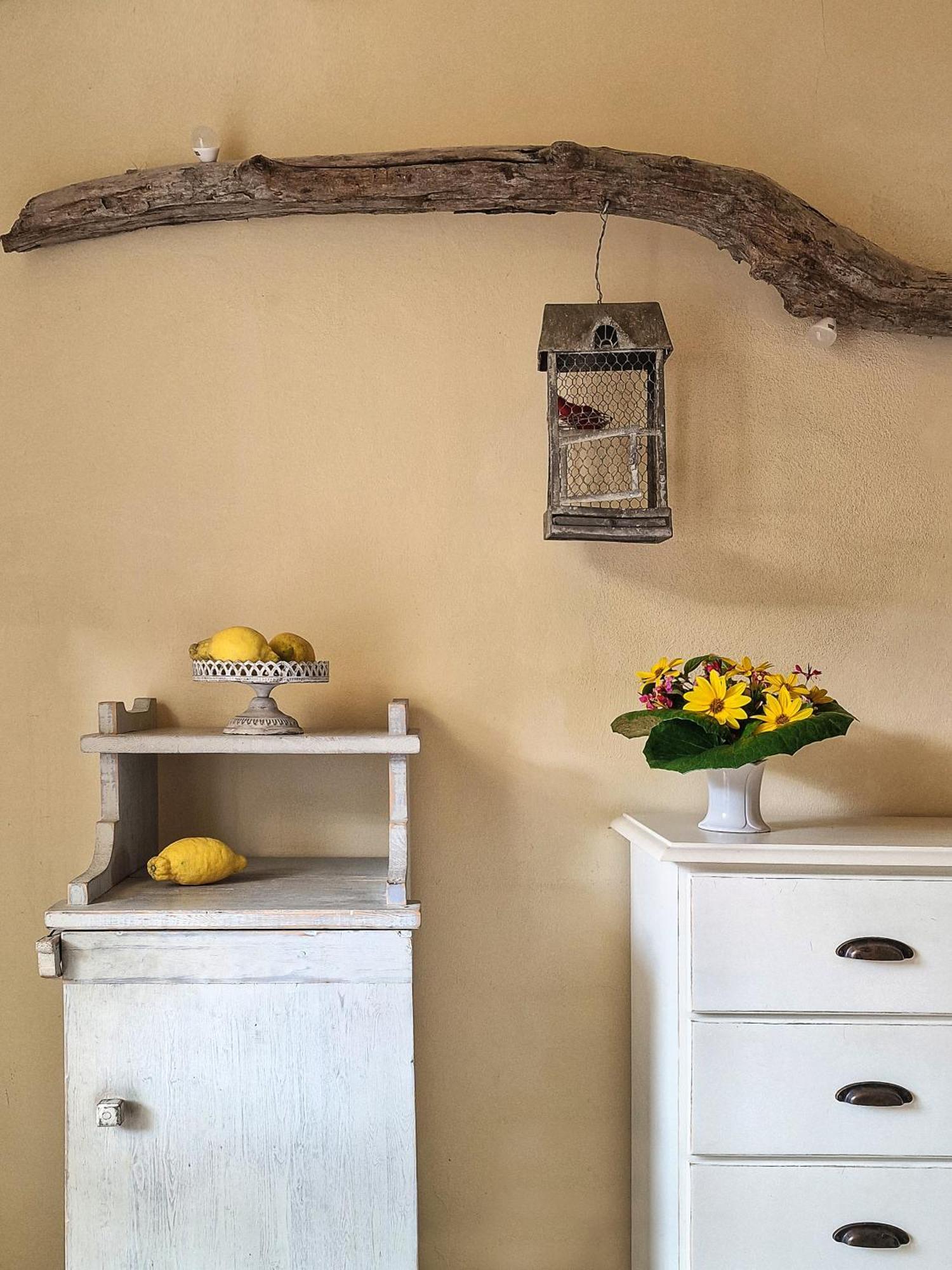 Hotel Cernia Isola Botanica SantʼAndrea Exteriör bild