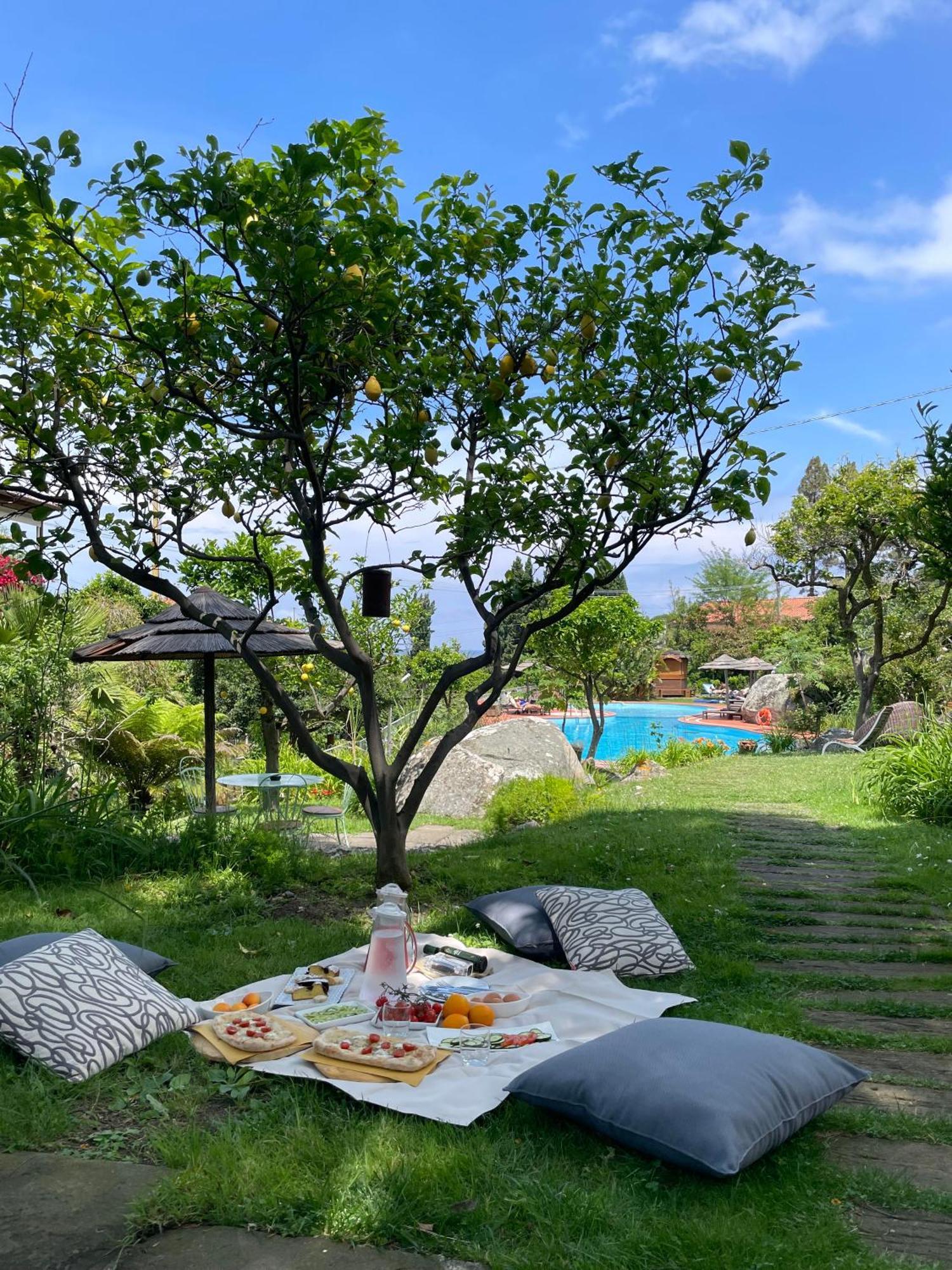 Hotel Cernia Isola Botanica SantʼAndrea Exteriör bild